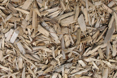 biomass boilers Tregadillett